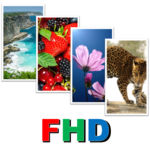Free Wallpaper HD/FHD/QHD/UHD icon
