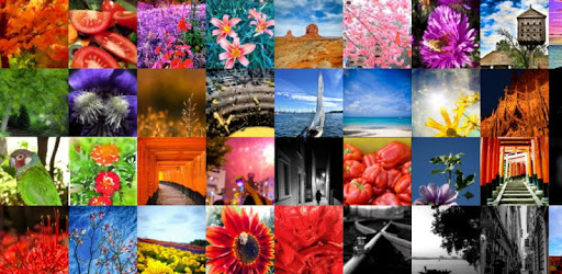 Free Color Theme Wallpaper pc screenshot