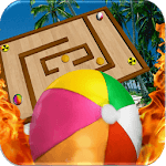 Survivor Fire Ball Maze 3D for pc icon Survivor Fire Ball Maze 3D for pc icon
