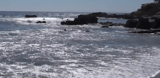 Beach Real Live Wallpaper pc screenshot Beach Real Live Wallpaper pc screenshot