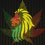 Best Music Reggea Rasta icon