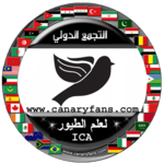 canaryfans icon