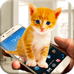 Kitten on screen joke icon