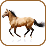 Horse Breeds Database icon