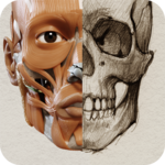 3D Anatomy for the Artist icon