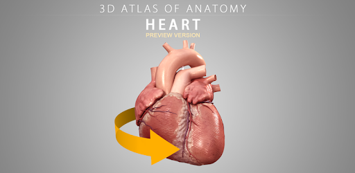 Heart 3D Anatomy Lite pc screenshot Heart 3D Anatomy Lite pc screenshot