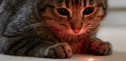 Simple cat toy laser pc screenshot