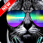 Cat Wallpaper icon