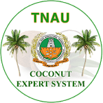 Coconut Expert System icon