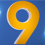 WTOV9 icon