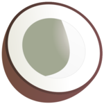 Coco Loco for pc icon