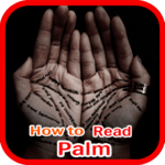 How to Read Palms for pc icon