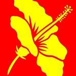 Libraries Hawaii icon
