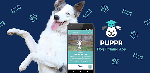 Puppr - Dog Training & Tricks pc screenshot Puppr - Dog Training & Tricks pc screenshot