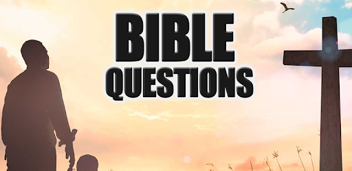 Bible Questions Answered quiz test pc screenshot