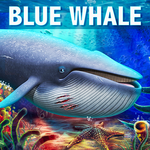 Blue Whale Simulator - Deep Ocean icon