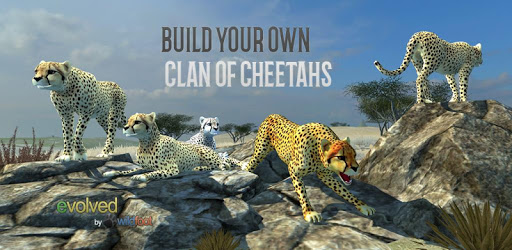 Clan of Cheetahs pc screenshot Clan of Cheetahs pc screenshot