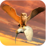 Clan of Owl for pc icon