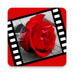 Love videos icon