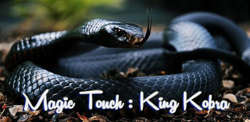 Magic Touch Cobra Attack pc screenshot Magic Touch Cobra Attack pc screenshot