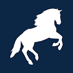 HorseWinner 马王 icon