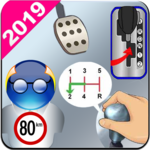 Driving Master 2019  :How to Drive, Driving Game.. icon