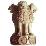 Indian Constitution and Polity icon