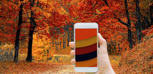 Chameleon Colorize Color Adapting Live Wallpaper pc screenshot