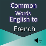Common Word English to French icon