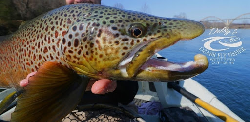 White River Fly Fishing pc screenshot