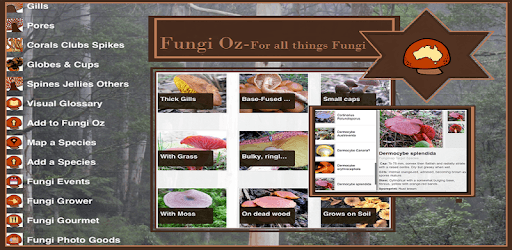 Fungi Oz - All things Mushroom pc screenshot Fungi Oz - All things Mushroom pc screenshot