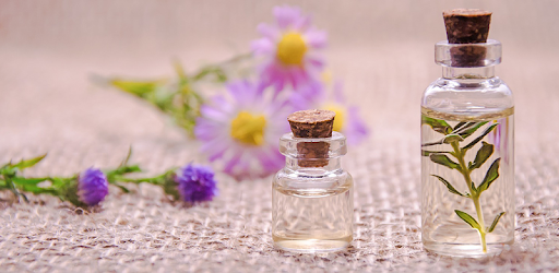 Essential Oils Guide Free pc screenshot
