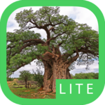 eTrees of Southern Africa Lite icon