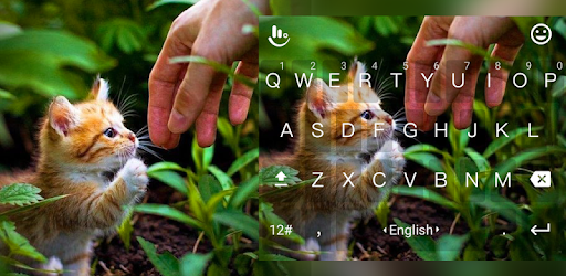 Cute Kitten Keyboard Theme pc screenshot Cute Kitten Keyboard Theme pc screenshot