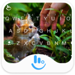 Cute Kitten Keyboard Theme icon