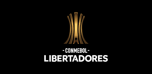 CONMEBOL Libertadores pc screenshot