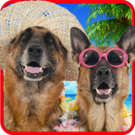Talking dogs. icon
