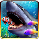 Shark aquarium live wallpaper icon