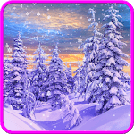 Winter and Christmas Wallpaper icon
