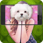 What dog am I simulator icon