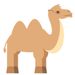 TryCamel icon
