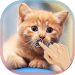 Cute Cat Live WallPaper icon