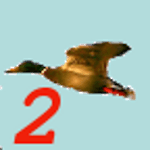 Birdhunt2 icon