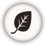 White Tiger Theme icon