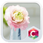 Romantic Pink Flower Theme HD icon
