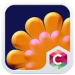 Bloomy Summer Flower Theme HD icon