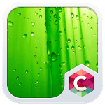 Green Leaf C Launcher Theme icon