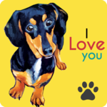 Dachshund Wallpaper icon