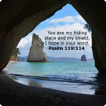 Daily Bible Verse icon