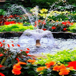Flowers Park Live Wallpaper icon